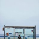 용두암빌리지 | 뚜벅이 제주도 게스트하우스 공항 근처 1인 숙소 김군빌리지 저녁 후기