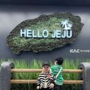 나래 | 제주 해녀 스냅-원조 나래스냅 후기