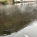 부림마을_서 | 후쿠오카 3박4일 여행 <1일차> 일정공유 및 후쿠오카공항에서 버스로 유후인 이동방법