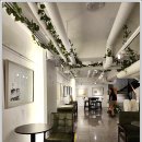 샤갈의 마을 이미지