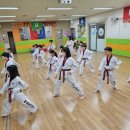 아이짐&박사태권도 이미지