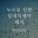 무등수선