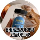 바다고양이식탁 이미지