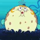 한올림명품임실피자 이미지