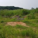 사랑리주유소 이미지