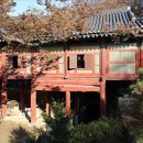 집떠나길위에서서-松 | 고운사(의성군 단촌면 고운사길 415)