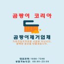 주식회사 정성코리아 | 베란다 곰팡이 제거 업체 결로 잡아내는 단열공사 시공