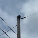 구로-현장-구로-530 이미지