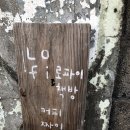 #책방탐방 75. [동네 책방] 구례 ‘책방 로파이’