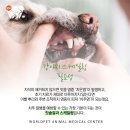 신월동물병원 이미지