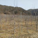 주왕산면사무소 이미지