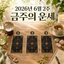 2026년 6월 2주차 주간운세 | 상반기라는 반환점이 보일 때, 당신의 발밑은 단단한가요? (연애·재물...