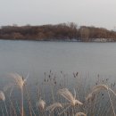 광주 백석제 호수의 아름다운 겨울풍경 이미지