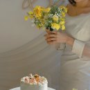 코모레비 케이크(komorebee cake)