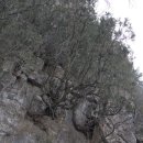 망양해돋이 이미지