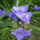 바람과 구름 이미지