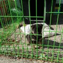 가조보건진료소 이미지