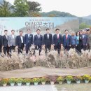 제27회 포천 산정호수 명성산 억새꽃 축제 이미지