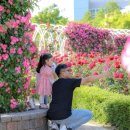 광장로 37 이미지