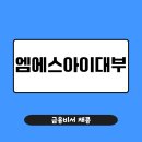 엠에스아이대부 신규 추가대출 가능한가요? 실제 사례로 보는 승인 기준
