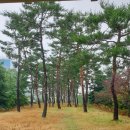 열우물공원 네이버블로그