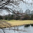 수원-0407 이미지