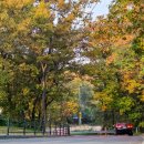 심학초등학교 | 가을 심학산 약천사 13m 남북통일약사여래대불