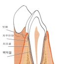 아프리카동물병원 이미지