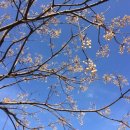 무지개초등학교 이미지