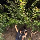 애월시크릿가든 이미지