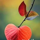 평화로운세상 이미지