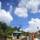 호남선 농장 이미지