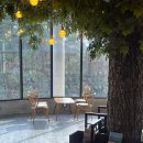 서림 | 산방산뷰 서귀포 북카페, 책이 가득한 산방서림에 다녀온 솔직후기