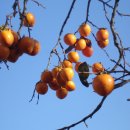 김동규 10월의 어느 멋진 날에 이미지