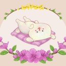 설레아