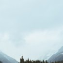 합성동264 이미지