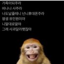 포동 이미지