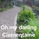 Oh my darling Clementaine 이미지