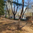 하대중앙공원 이미지