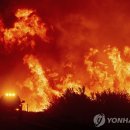 (주)라센 이미지