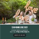 SnM화예조형디자인