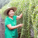 에벤에셀농장 이미지