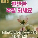 피부가 보내는 구조신호 이미지