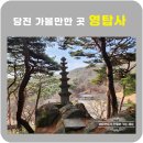 성하리 | 당진 사찰 대한불교조계종 영탑사