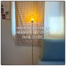 LED조명 아크릴 공예 | 인테리어 소품 조명 집들이 선물 추천 레나에너지 LED 아크릴 머쉬룸 플로어 스탠드
