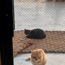 깜순이네 민박 이미지