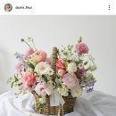 디어리플레르 이미지