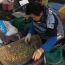 바우농장2 이미지