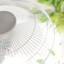"40도 폭염에 선풍기 틀지 마세요"…WHO 긴급 경고 [건강!톡].gisa 이미지