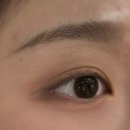 플로미아 | 하월곡속눈썹펌 후기💗 종암동·길음역 근처 플로스네일 후기